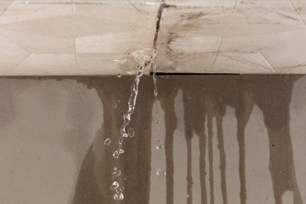 Professional Water Damage Inspection technician working in Palestine, OH